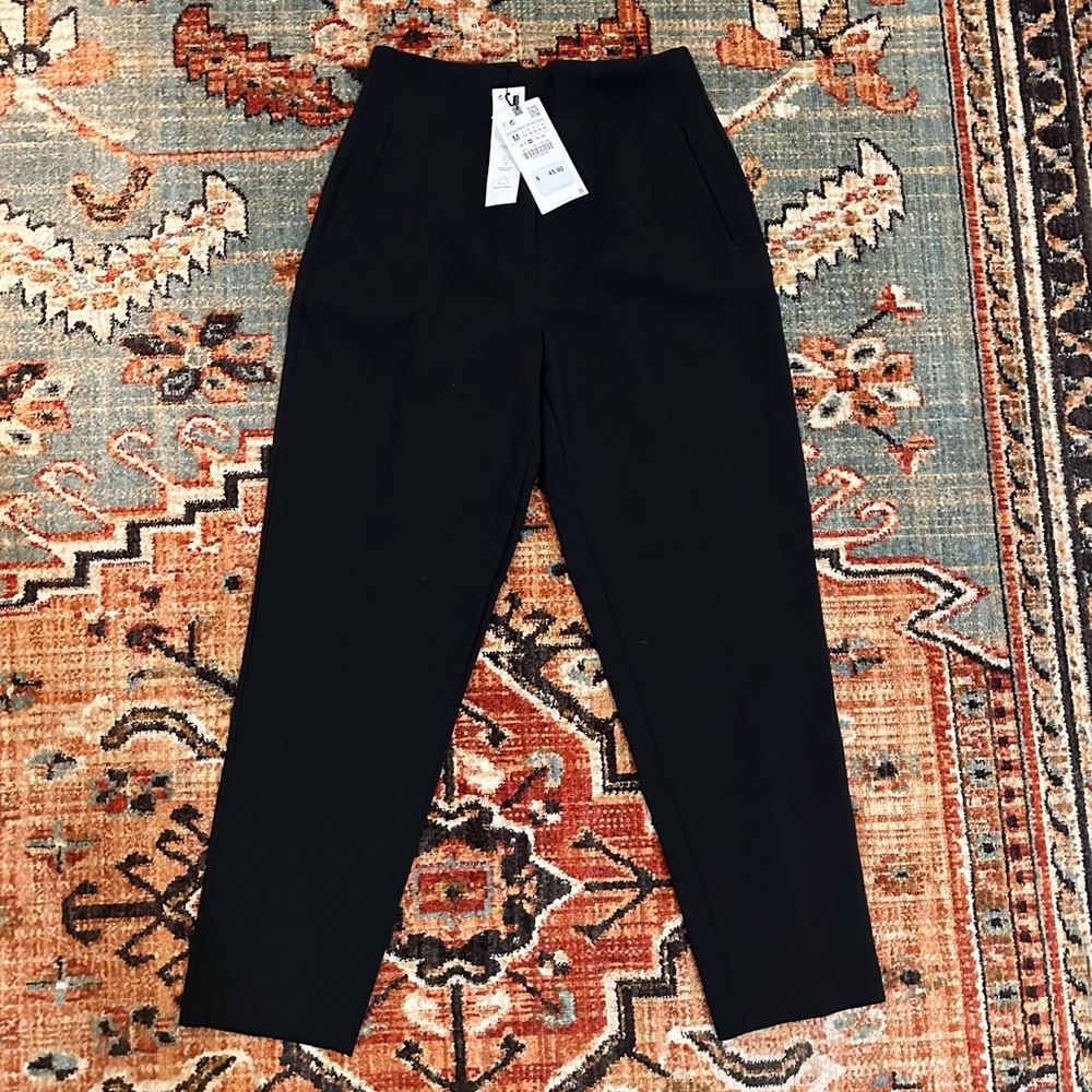 Black Zara dress or work pants